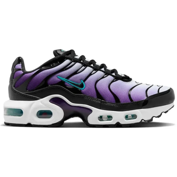 Nike Air Max Plus Reverse Grape (GS)