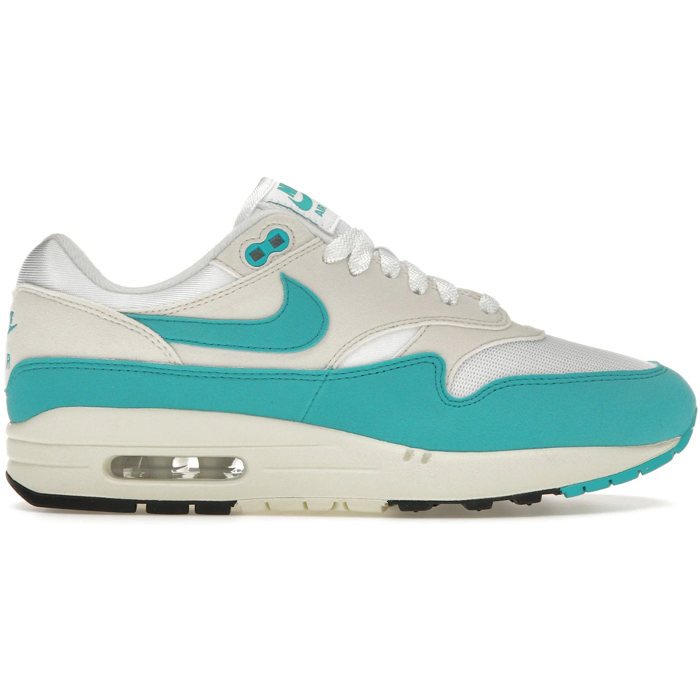 Nike Air Max 1 Dusty Cactus Womens 1