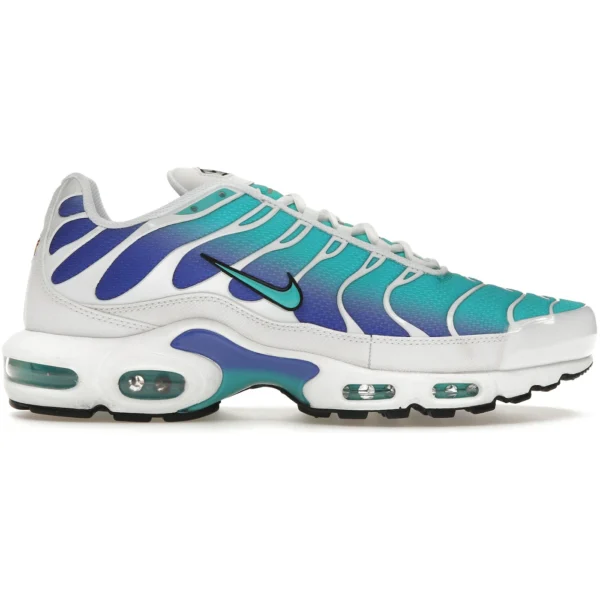 Nike Air Max Plus Aqua