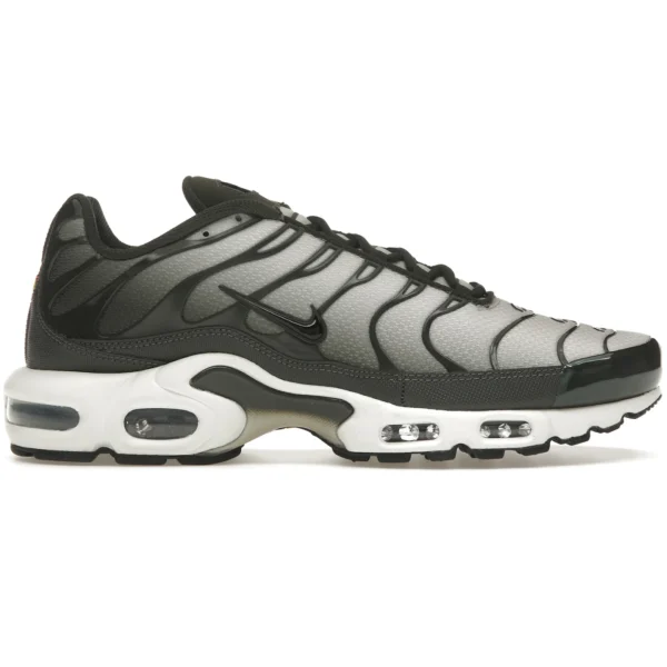 Nike Air Max Plus Sequoia Cargo Khaki