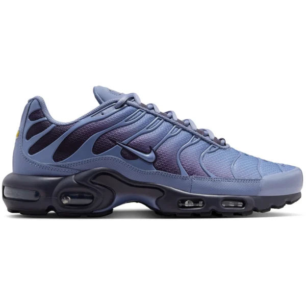 Nike Air Max Plus World Indigo