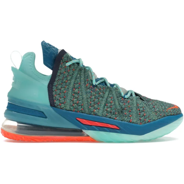 Nike LeBron 18 We Are Family