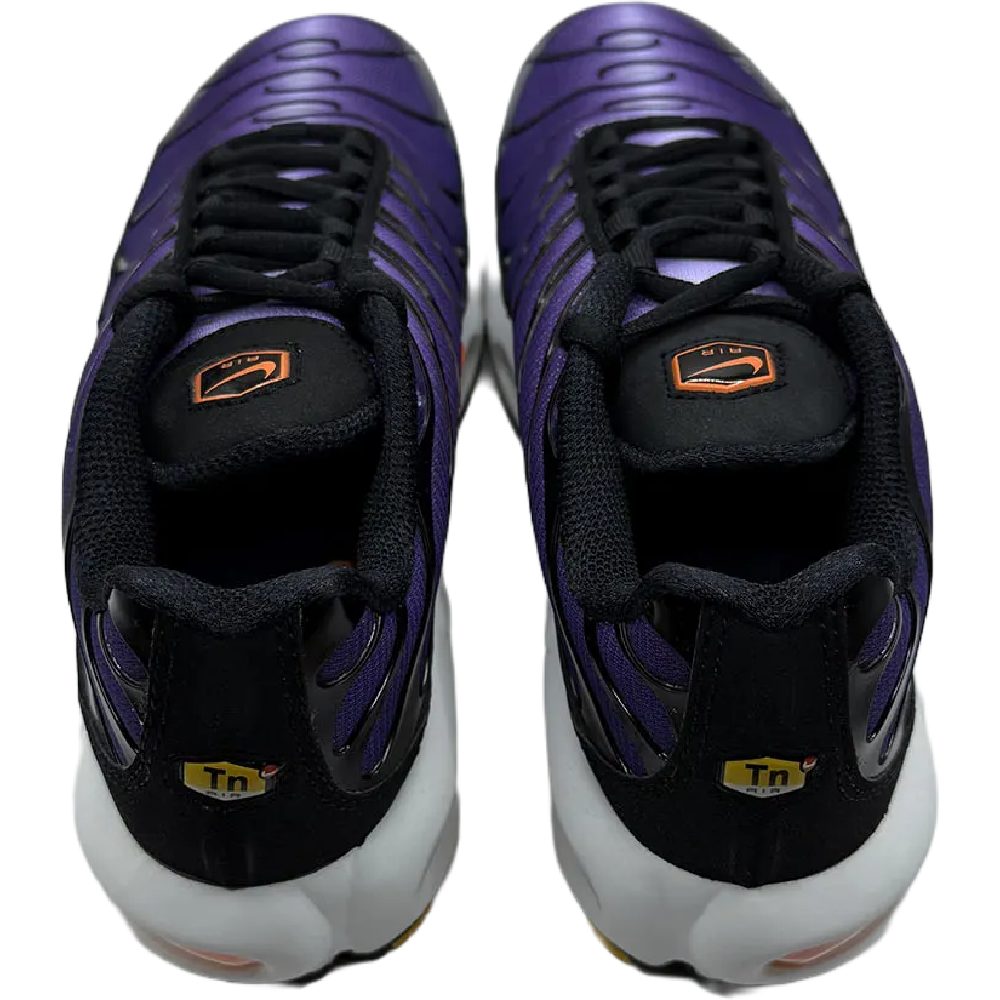 Nike Air Max Plus OG Voltage Purple (2024)