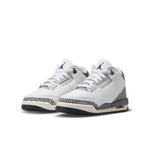 Jordan 3 Retro Hide N’ Sneak (GS)