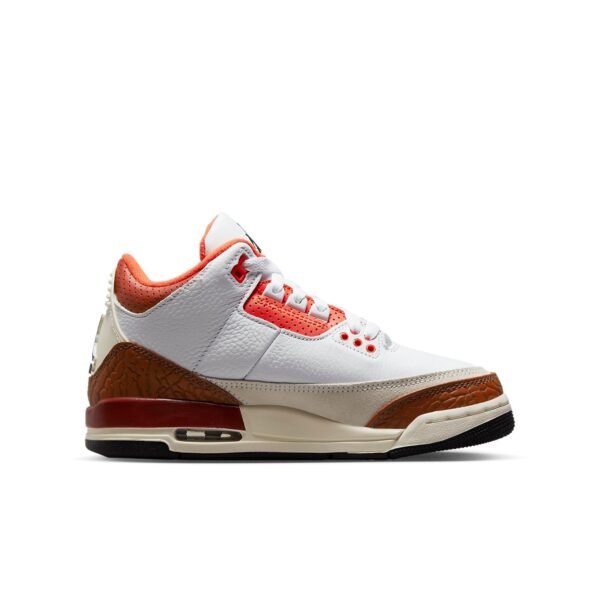 Jordan 3 Retro SE Dunk on Mars (GS)