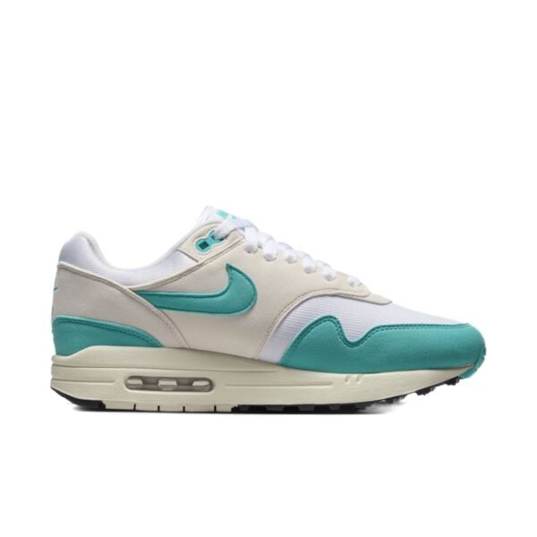 Nike Air Max 1 Dusty Cactus (Women&rsquo;s)