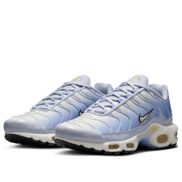Nike Air Max Plus Daybreak (Women&rsquo;s)
