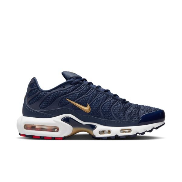Nike Air Max Plus FFF