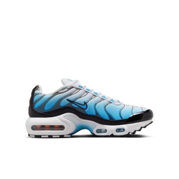 Nike Air Max Plus Ice (GS)