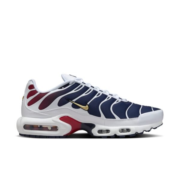 Nike Air Max Plus PSG