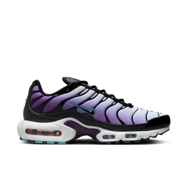 Nike Air Max Plus Reverse Grape