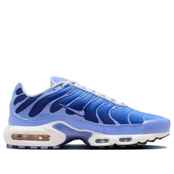 Nike Air Max Plus Royal Pulse