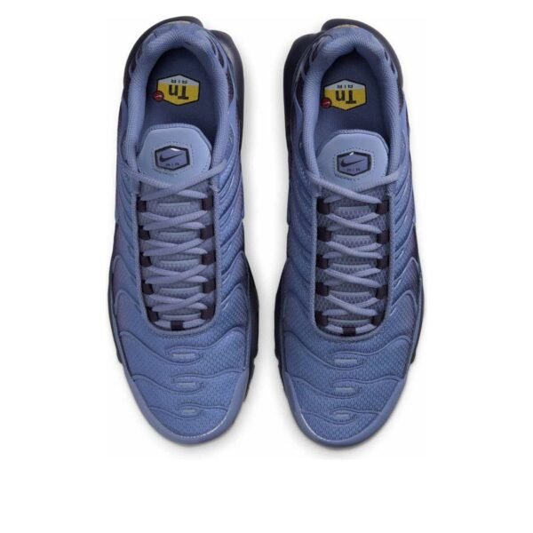 Nike Air Max Plus World Indigo