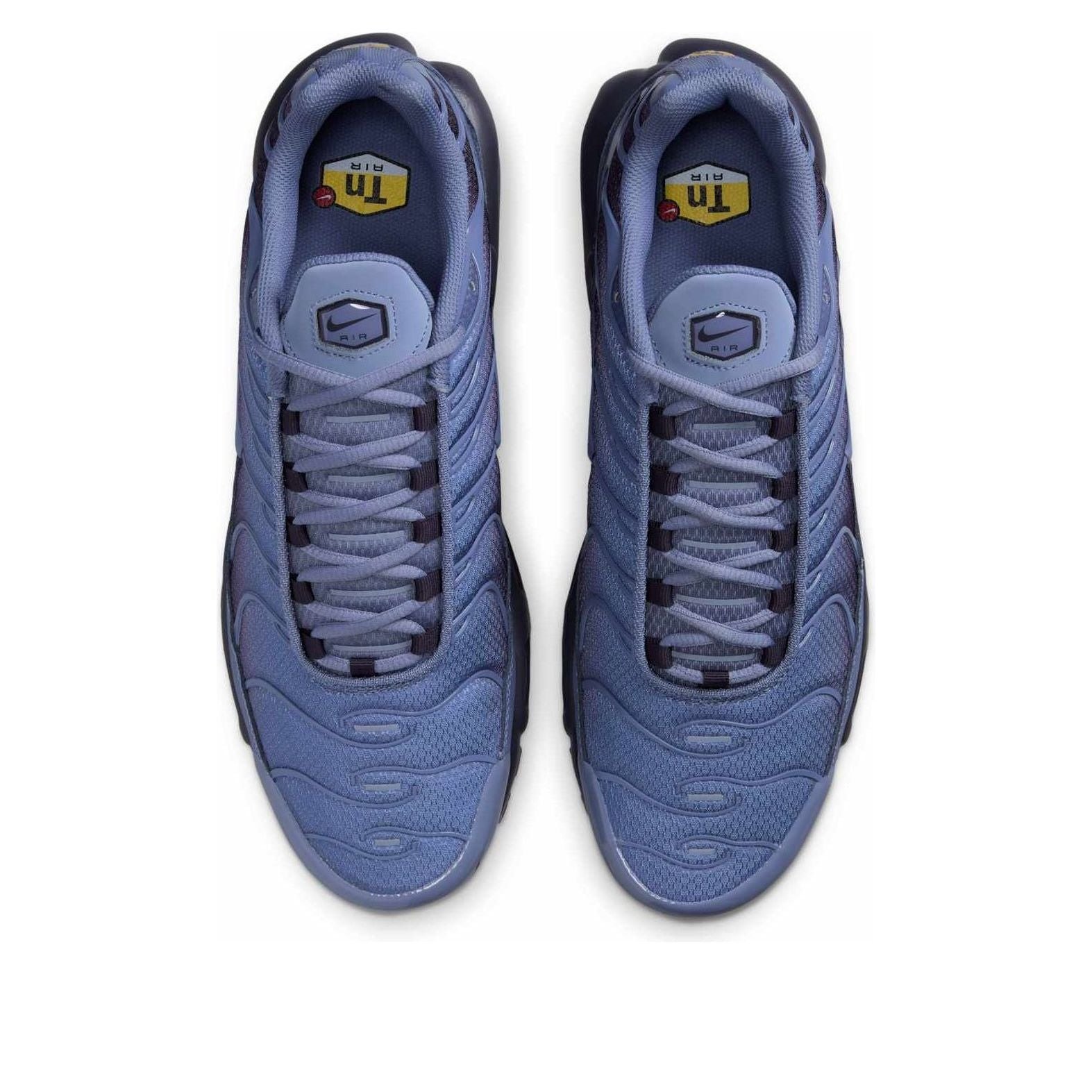 Nike Air Max Plus World Indigo 4 Nike Air Max Plus World Indigo