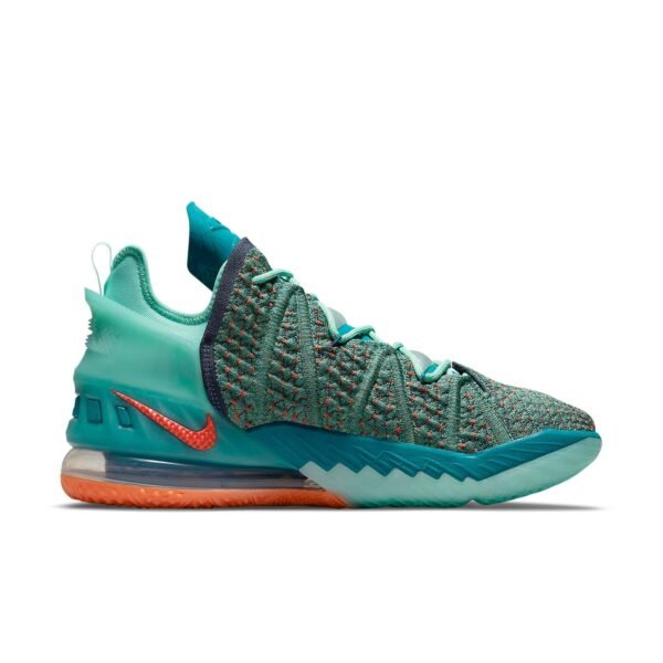 Nike LeBron 18 We Are Family