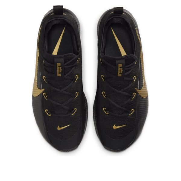 Nike LeBron TR 1 Black Metallic Gold