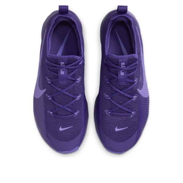 Nike LeBron TR 1 Purple Rain