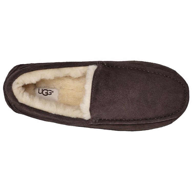 UGG Ascot Slipper Espresso 7 UGG Ascot Slipper Espresso