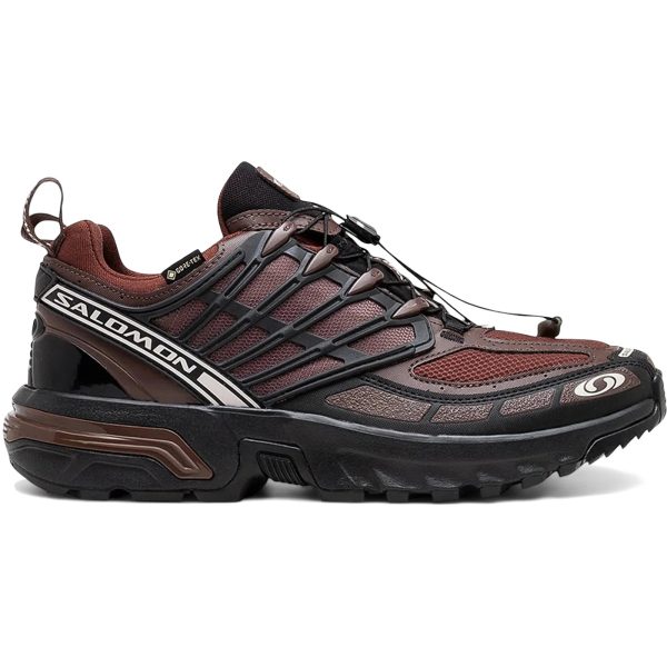 Salomon ACS Pro Gore-Tex Clay Rum Raisin