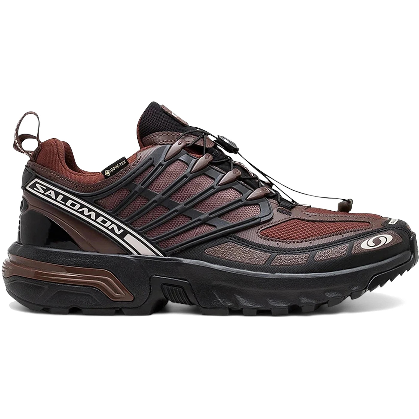 Salomon ACS Pro Gore-Tex Clay Rum Raisin 2 Salomon ACS Pro Gore-Tex Clay Rum Raisin