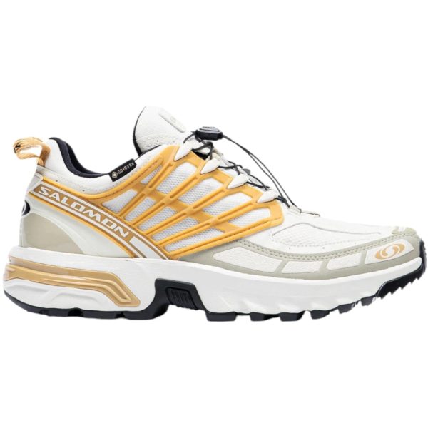 Salomon Acs Pro Gore-Tex Antelope Tea