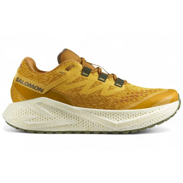 Salomon Aero Glide 3 GRVL Spicy Mustard Nautical Blue