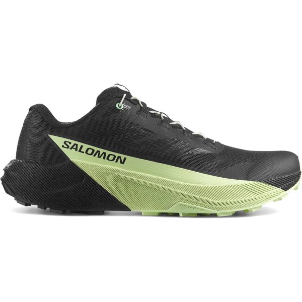 Salomon Pulsar Black Patina Green