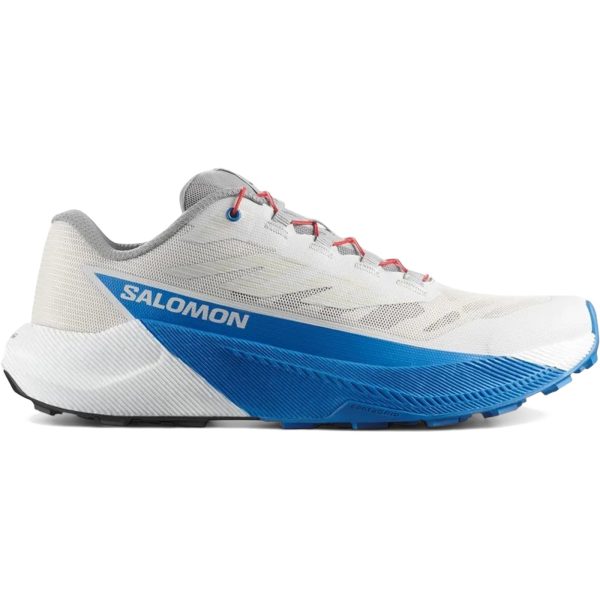Salomon Pulsar Lunar Rock French Blue