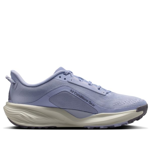 Nike ACG Pegasus Trail Ghost Mineral Slate (Womens)