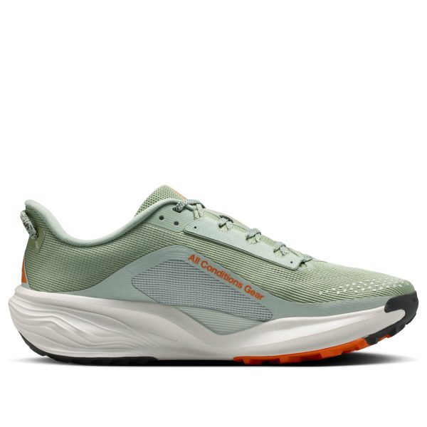 Nike ACG Pegasus Trail Jade Horizon Light Silver