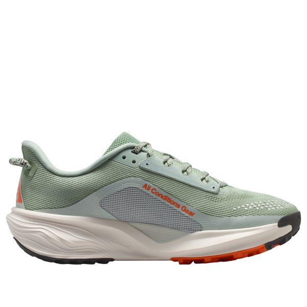 Nike ACG Pegasus Trail Jade Horizon Light Silver (Womens)