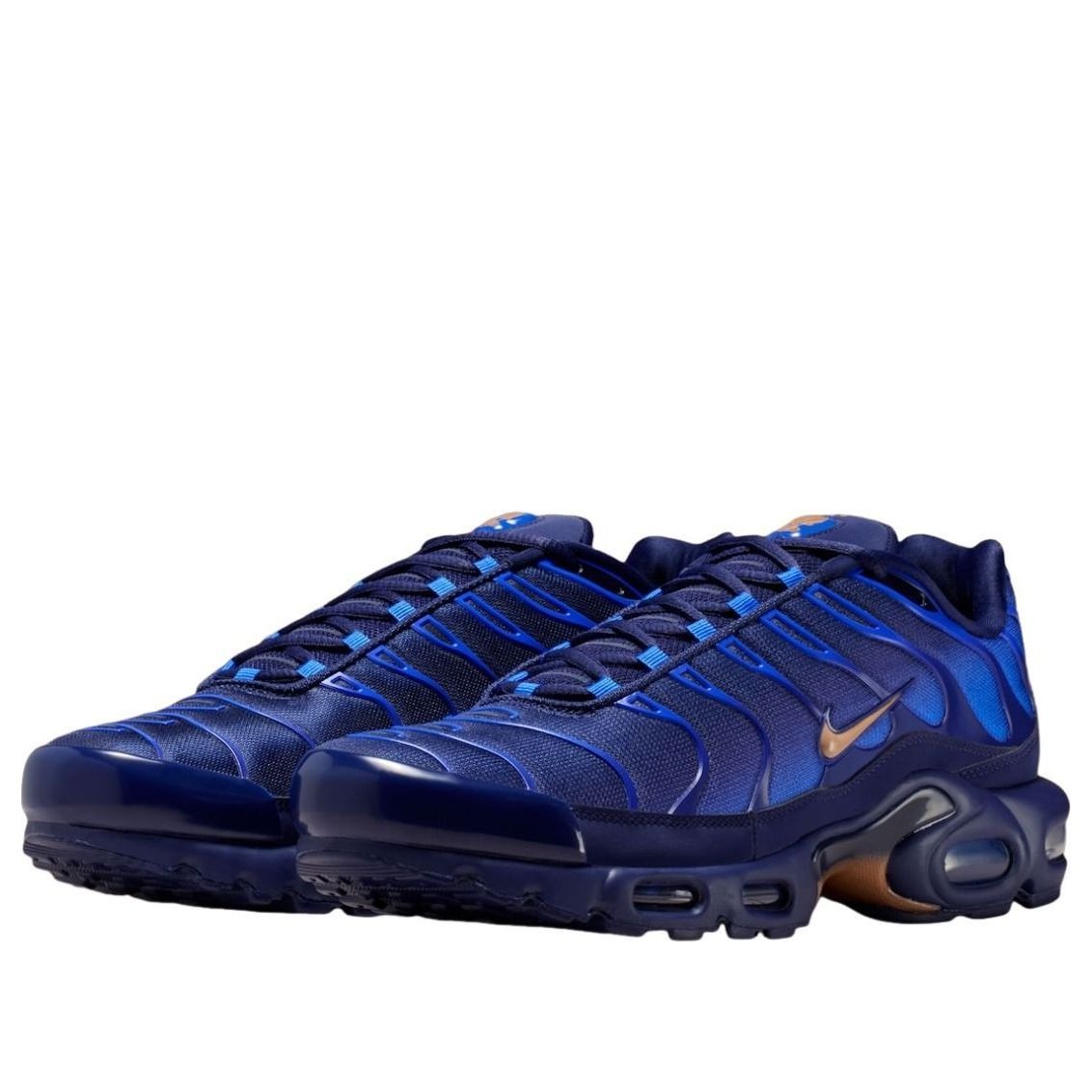 Nike Air Max Plus French Football Federation 4 Nike Air Max Plus French Football Federation