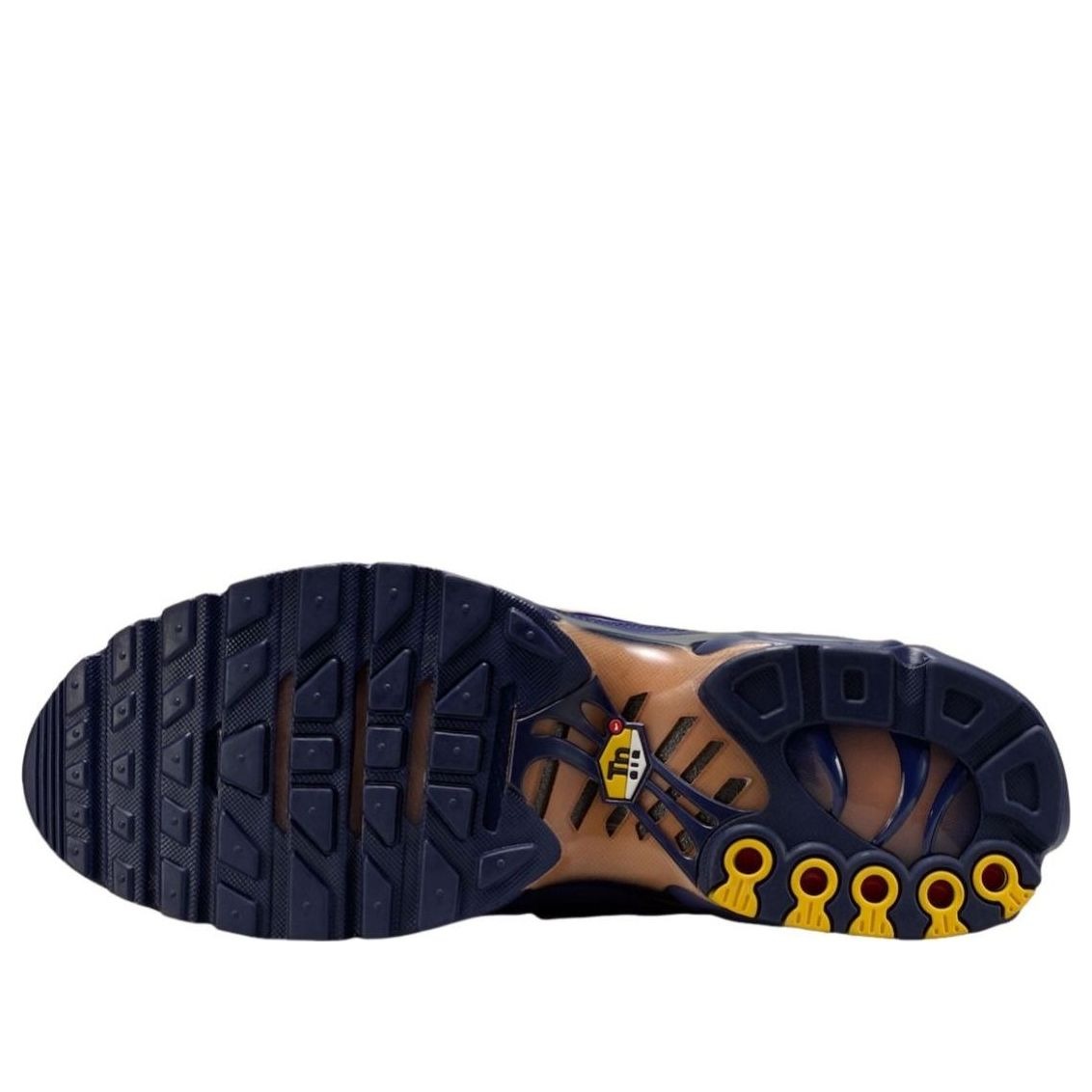 Nike Air Max Plus French Football Federation 7 Nike Air Max Plus French Football Federation