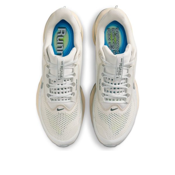 Nike Air Zoom Pegasus Premium Running is Mental