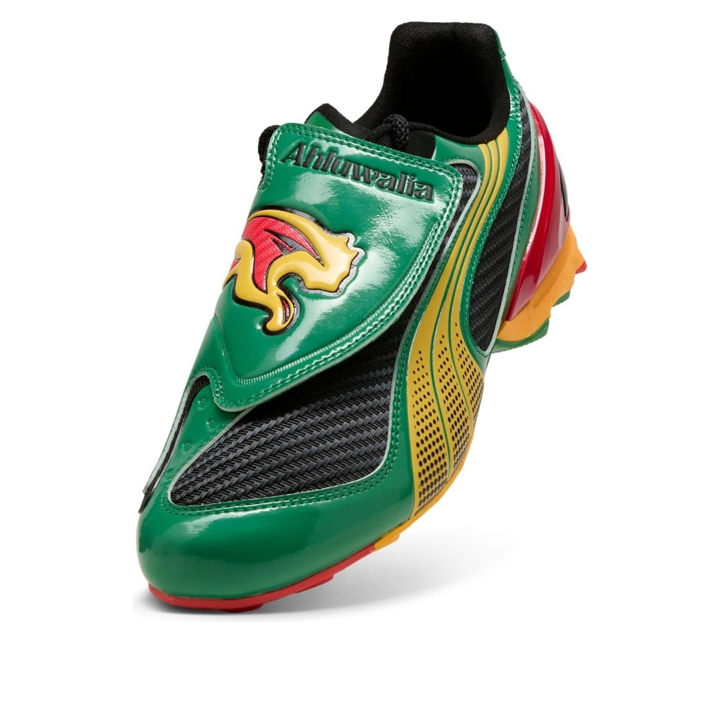 Puma V-S1 GR Ahluwalia 7 Puma V-S1 GR Ahluwalia