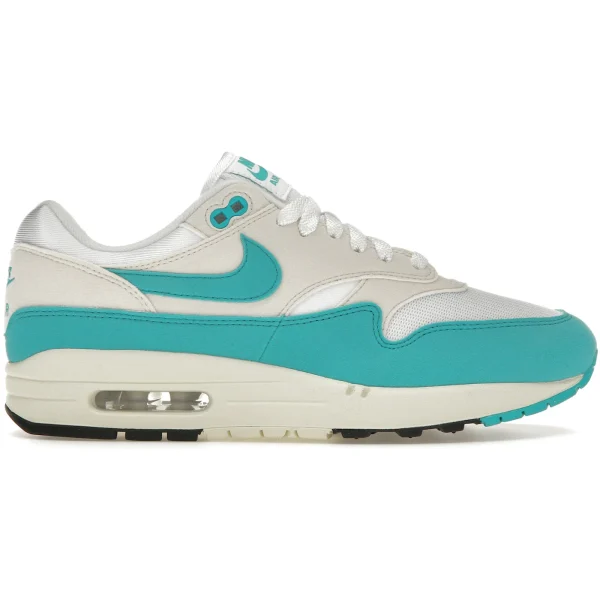 Nike Air Max 1 Dusty Cactus (Women&rsquo;s)