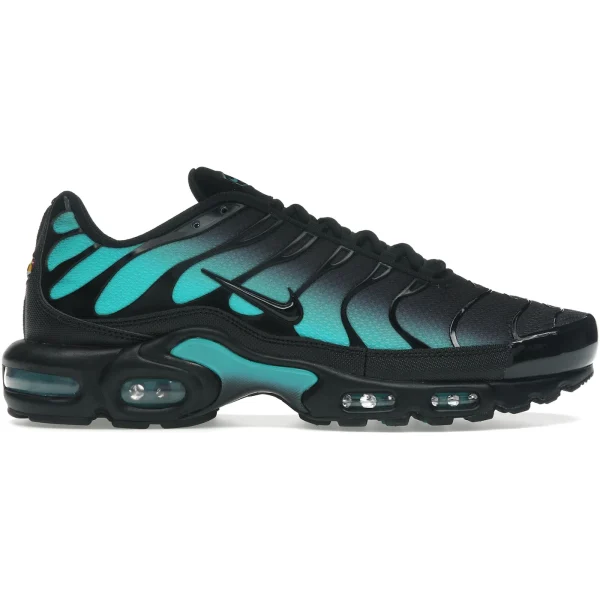 Nike Air Max Plus Black Dusty Cactus
