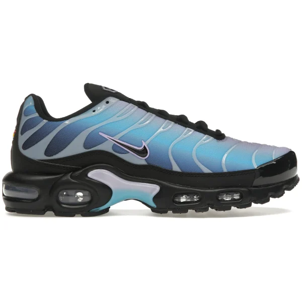 Nike Air Max Plus Black Hydrangeas (Women’s)