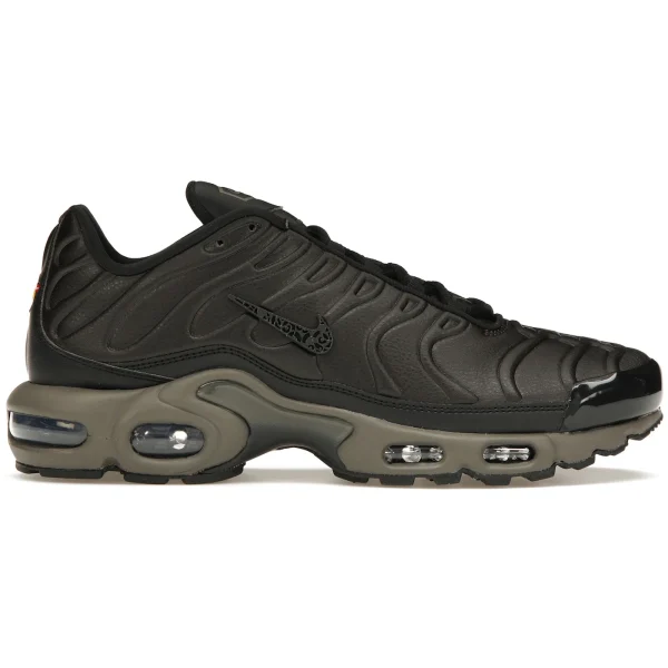 Nike Air Max Plus Premium Paris