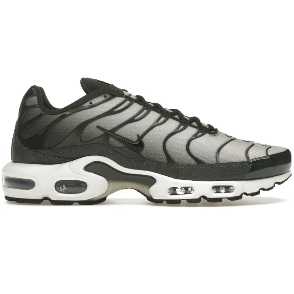 Nike Air Max Plus Sequoia Cargo Khaki