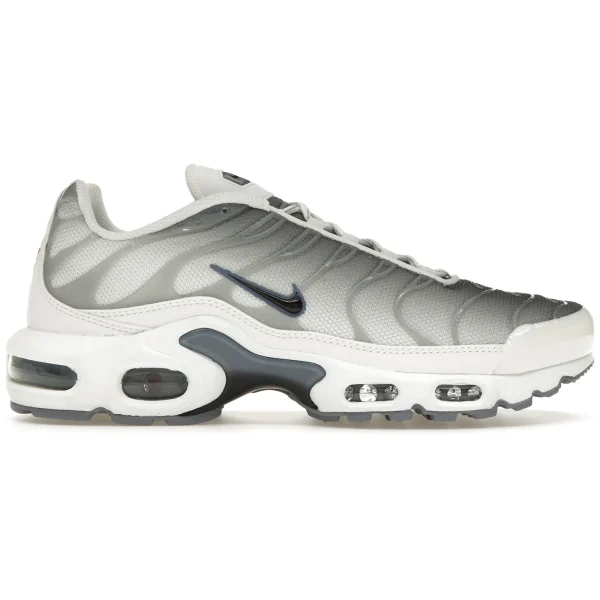 Nike Air Max Plus Smoke Grey Ashen Slate (Women&rsquo;s)