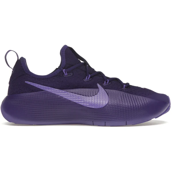 Nike LeBron TR 1 Purple Rain