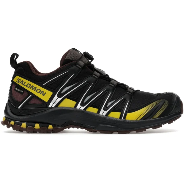 Salomon XA Pro 3D Gore-Tex Cress Green French Roast