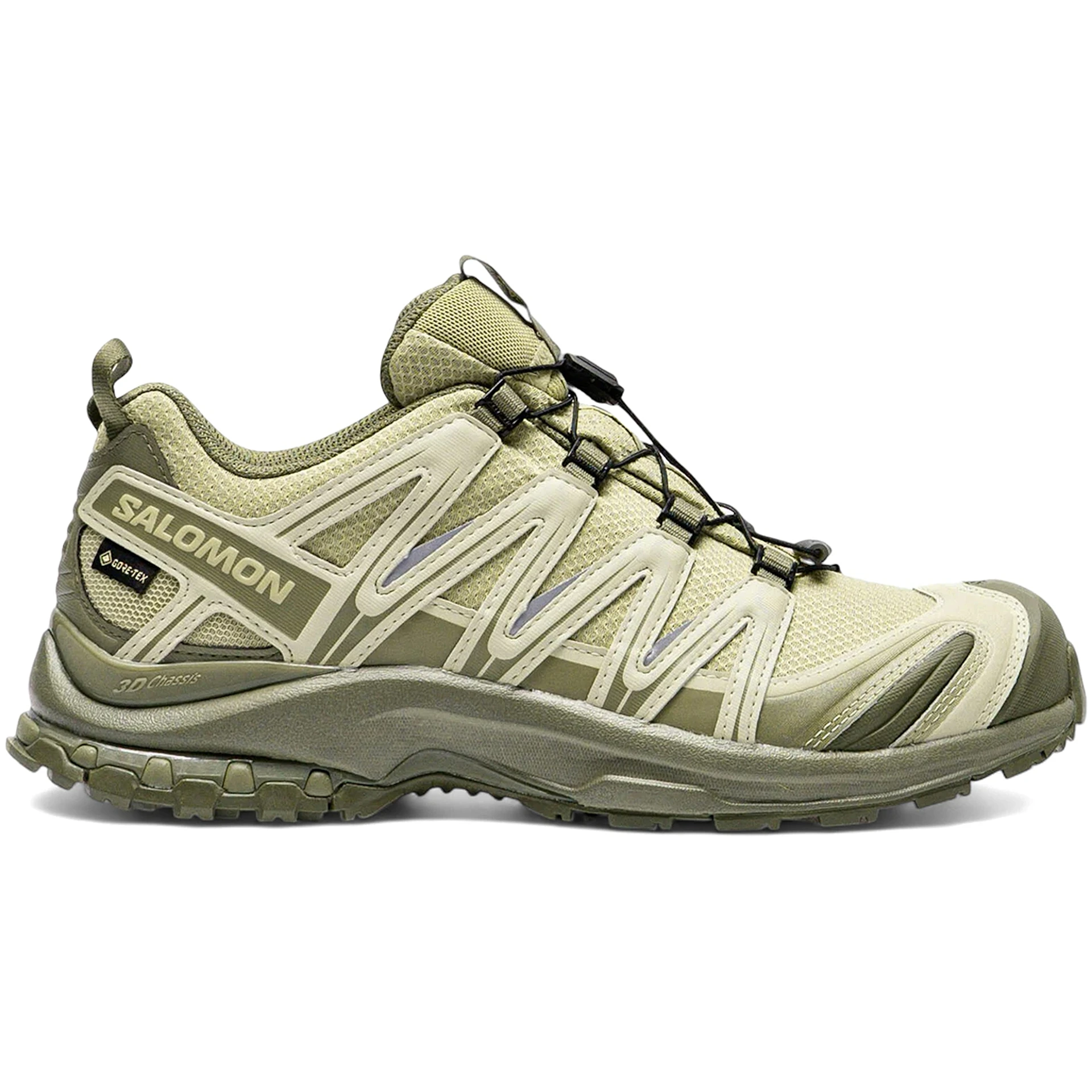 Salomon XA Pro 3D Gore Tex Grey Green 1 3