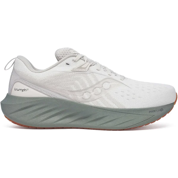 Saucony Triumph 22 Moon Bough