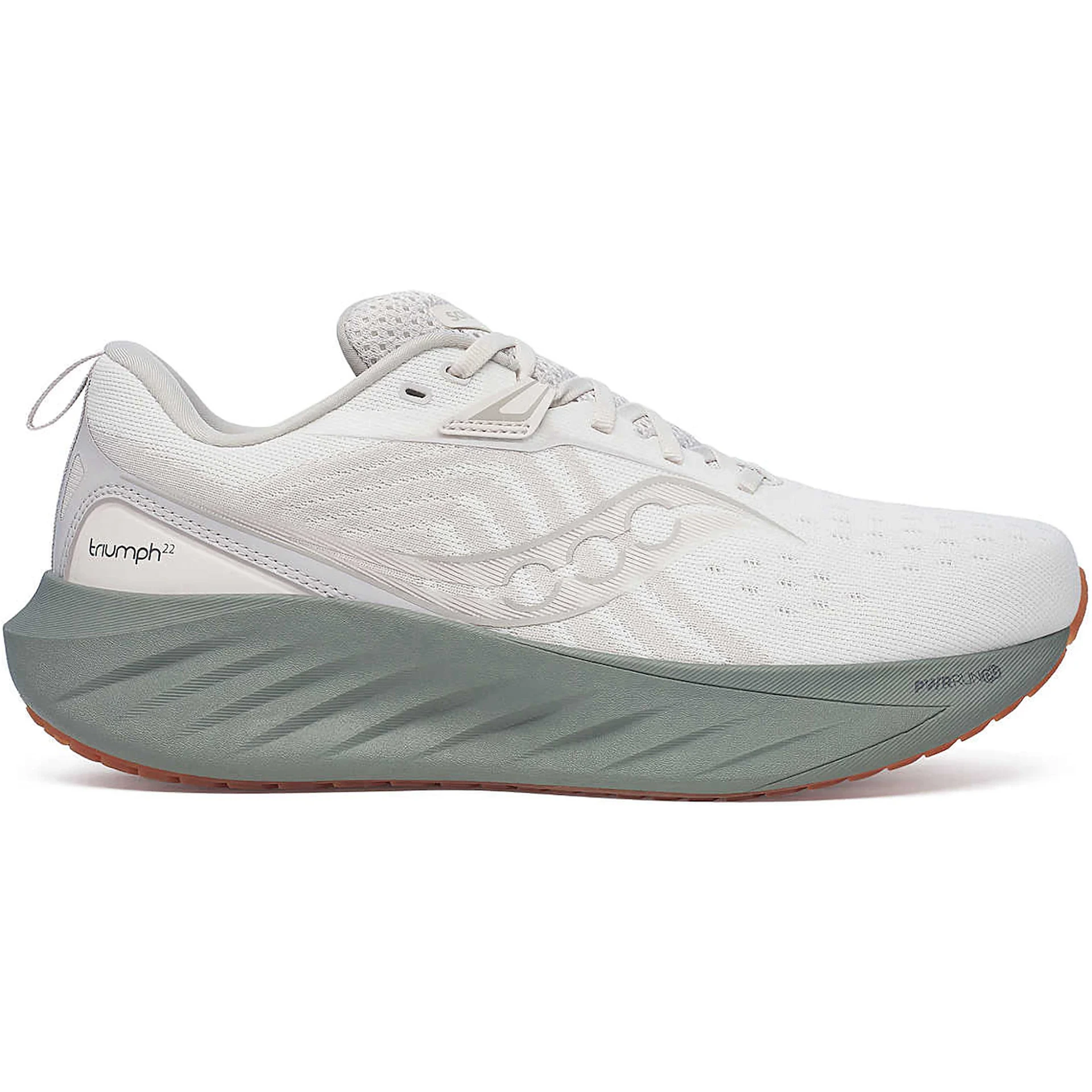 Saucony Triumph 22 Moon Bough 1 3