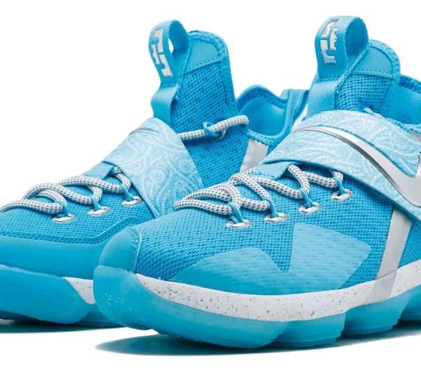 Nike LeBron 14 Ric Flair (GS)