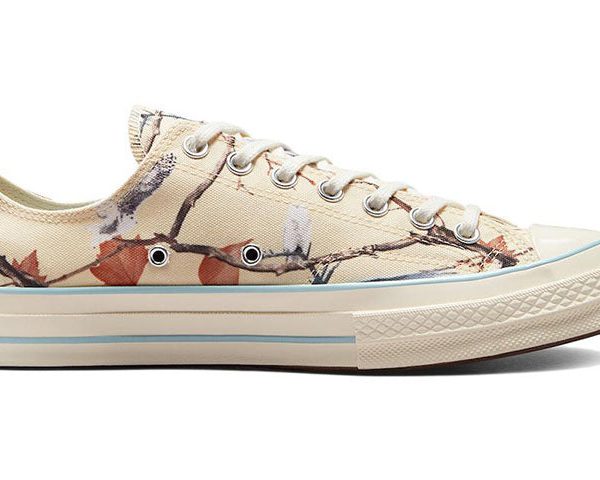 Converse Chuck Taylor All Star 70 Ox Golf Wang Owl Camo