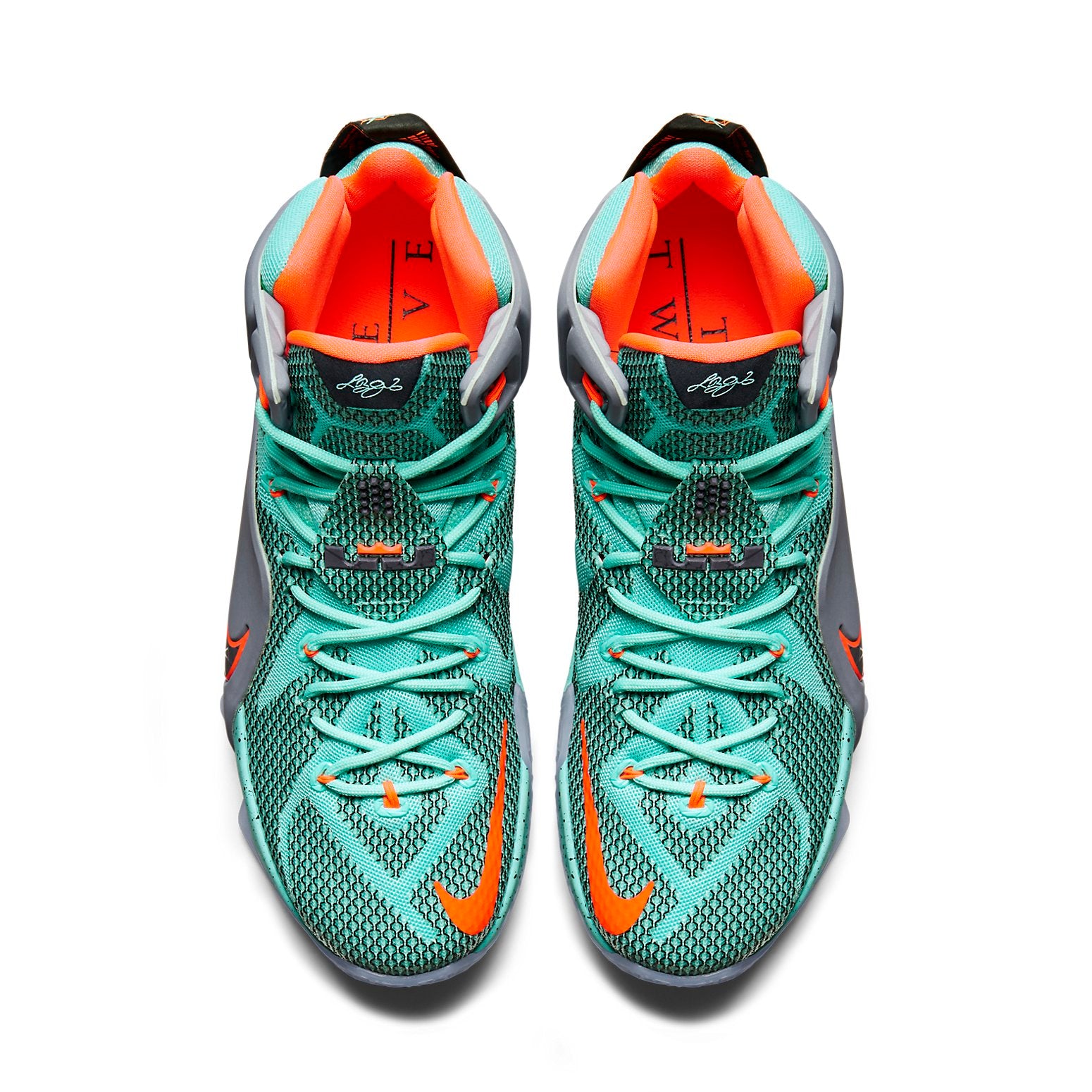 Nike LeBron 12 NSRL 5 Nike LeBron 12 NSRL