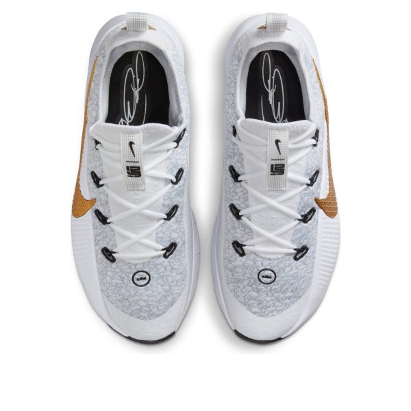 Nike LeBron TR 1 Wolf Grey White Metallic Gold